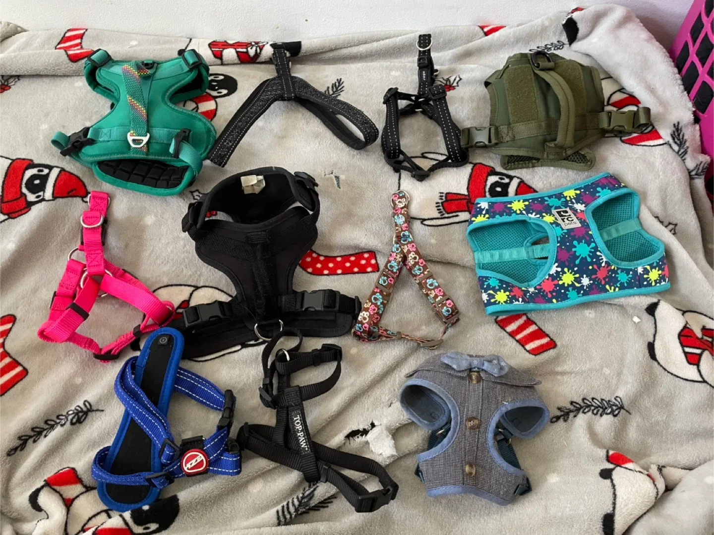 Small Dog Harnesses ($5 Each) thumbnail