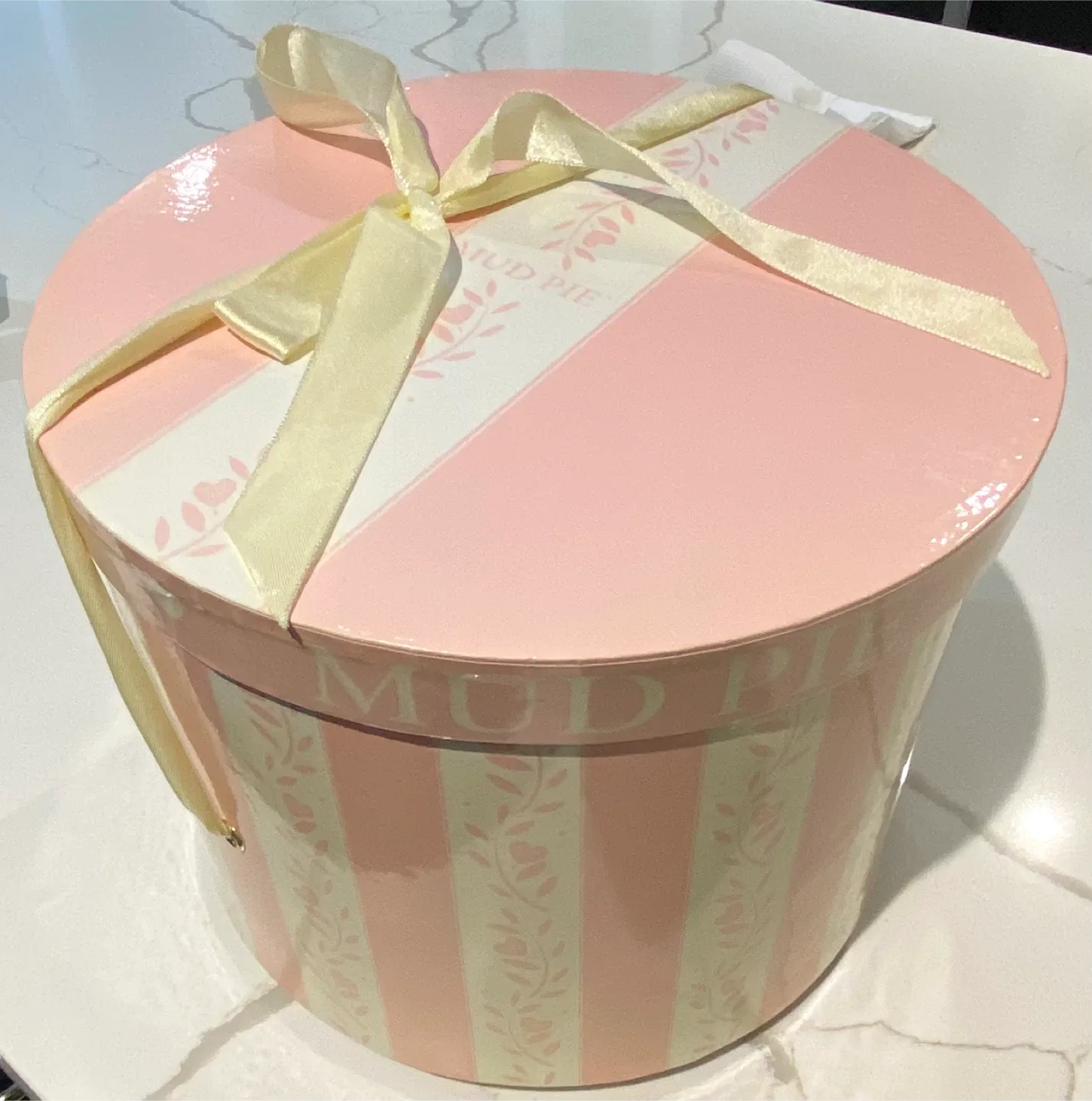 Mud Pie Ballerina Piggy Bank with Box image indicator(2)