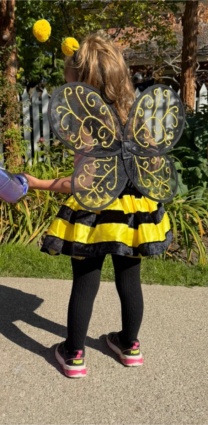 Bumble Bee Halloween Costume - 3T - photo 2