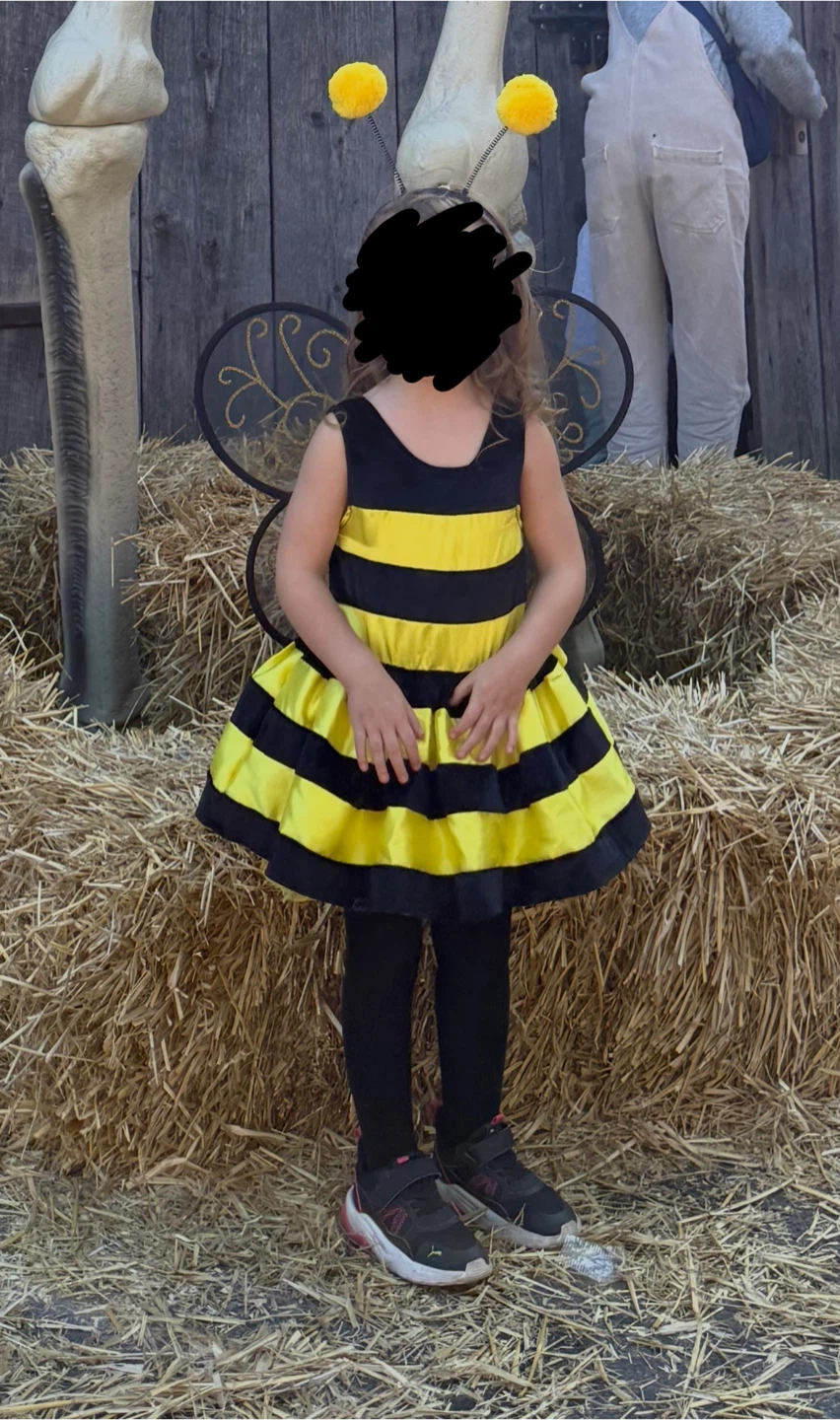 Bumble Bee Halloween Costume - 3T - photo 3