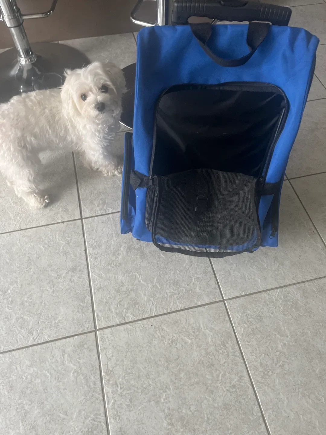 Blue Pet Carrier Backpack with Wheels image indicator(2)