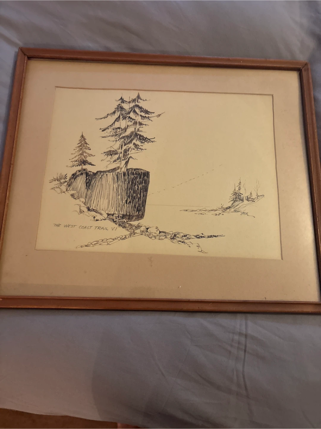 Framed West Coast Trail VI Print