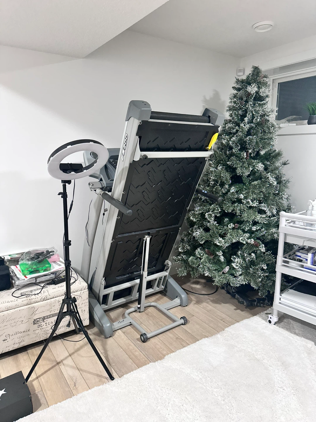 Life Fitness treadmill