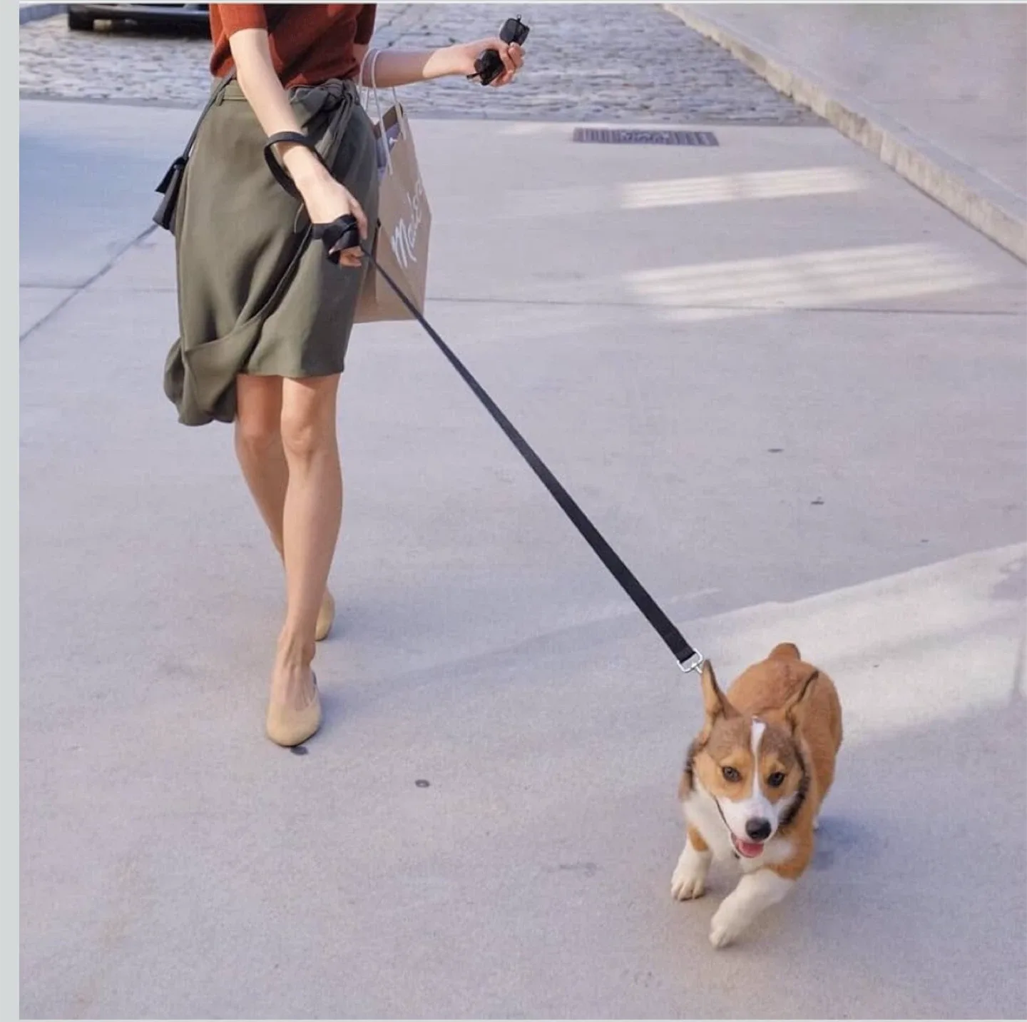 Dutchy Brand Premium Dog Leash - Black, 6ft image indicator(4)