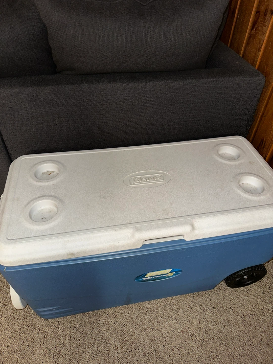 Coleman Cooler