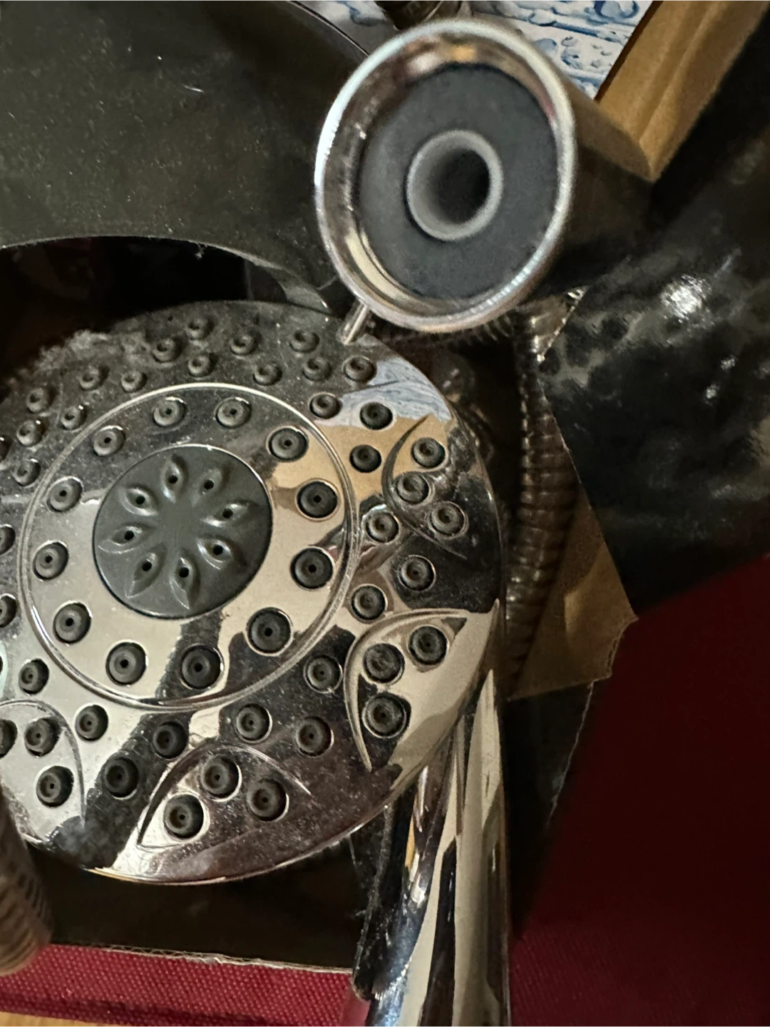 Shower Head with Hose & Components
