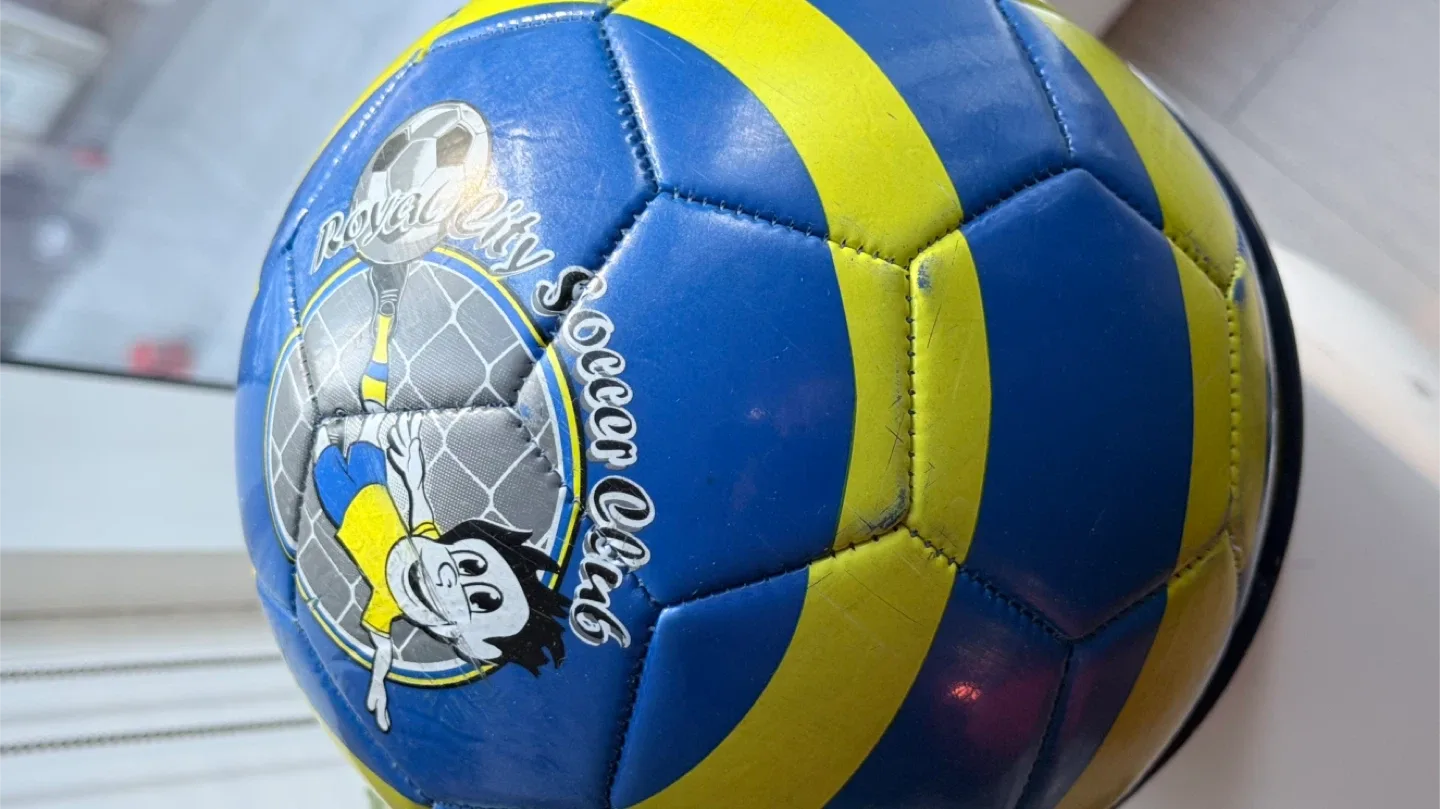 Locust Soccer Ball - Size 5 image indicator(2)