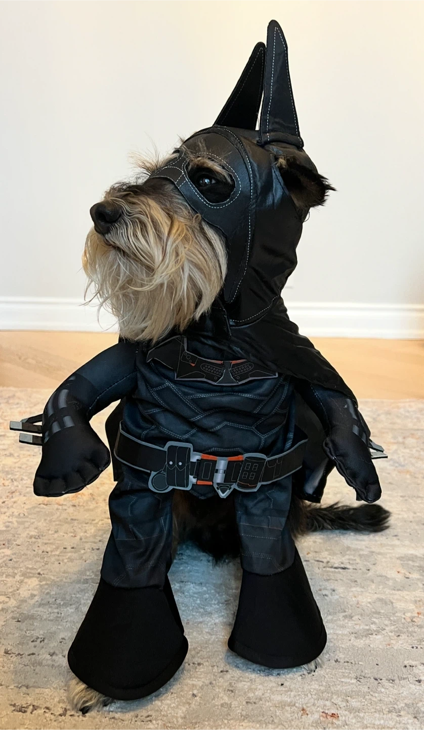 Batman Pet Costume - Small - photo 3
