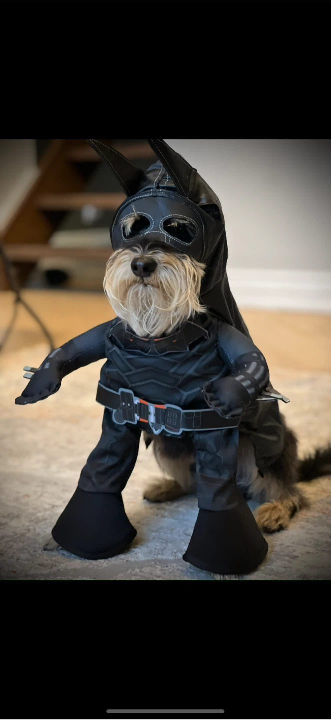 Batman Pet Costume - Small