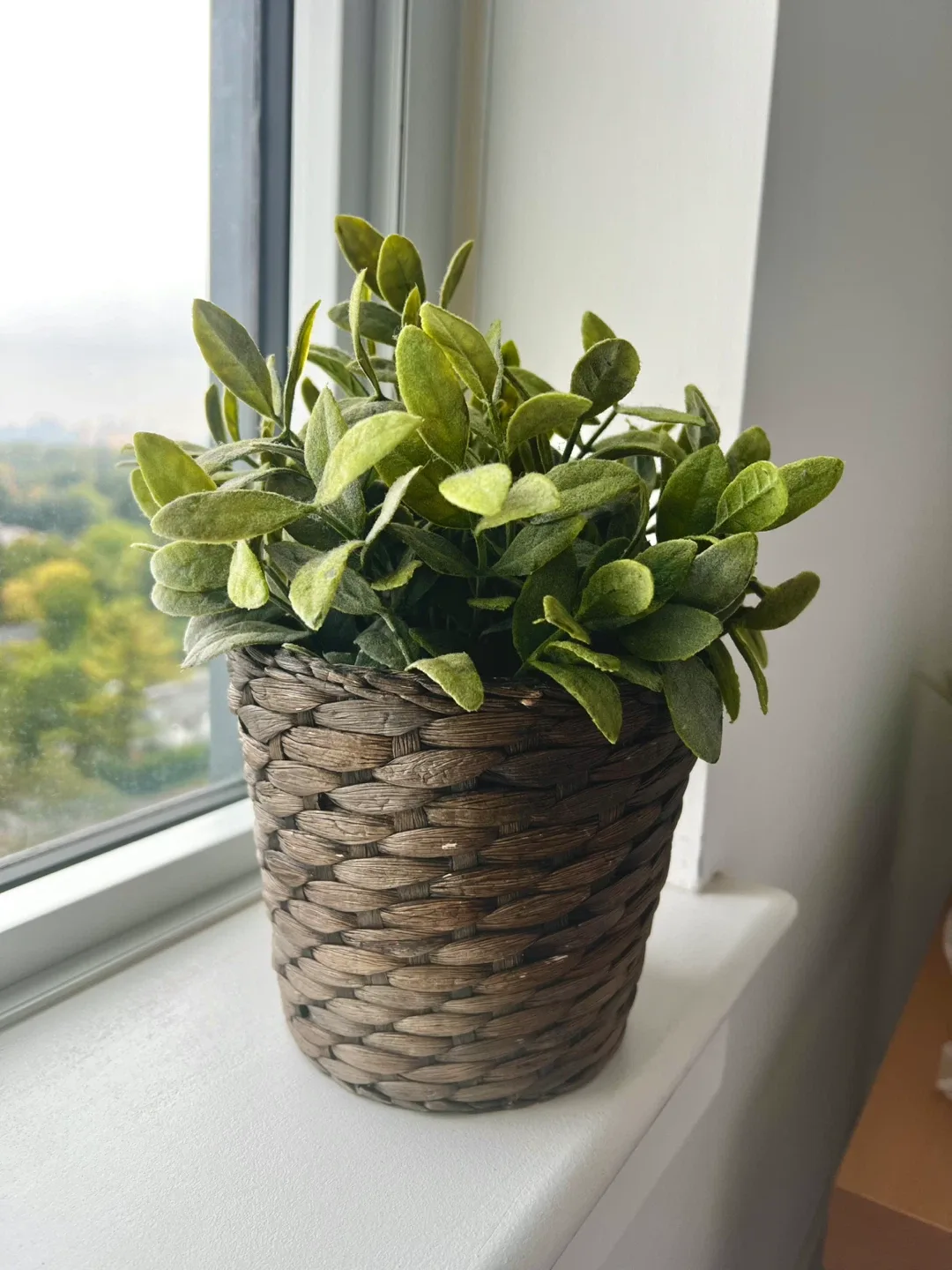 Potted Artificial Plant image indicator(3)