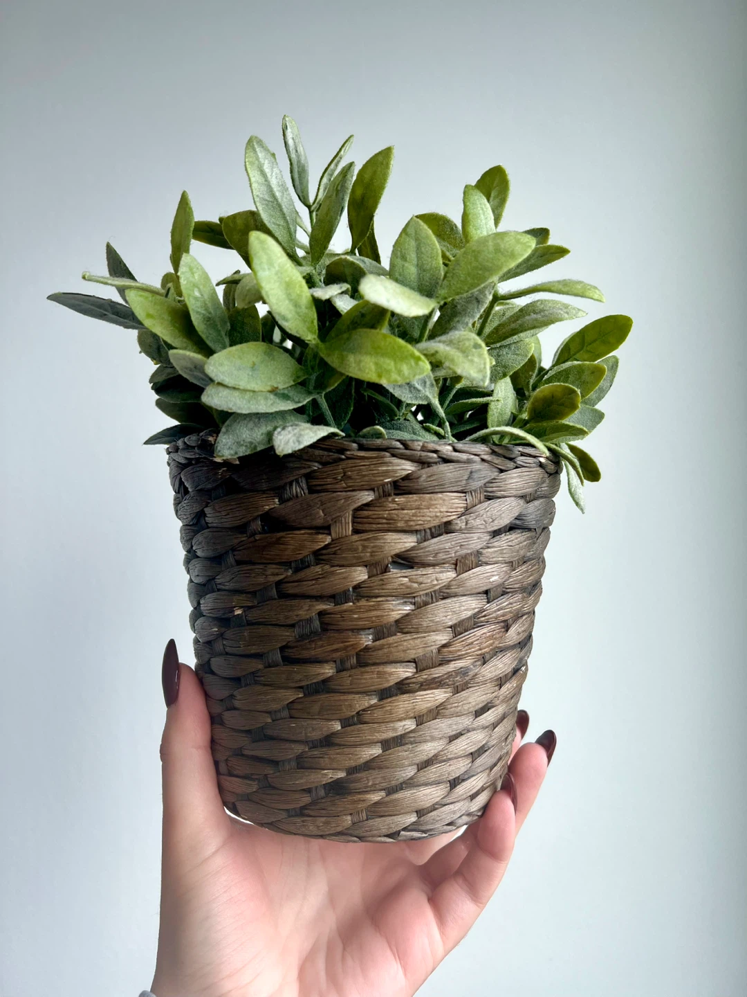 Potted Artificial Plant