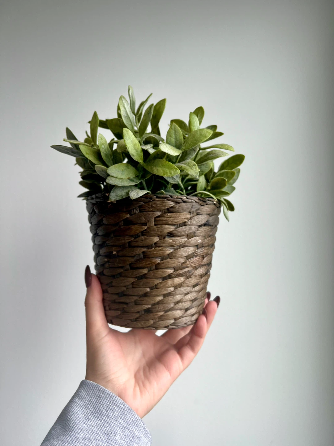 Potted Artificial Plant - photo 2