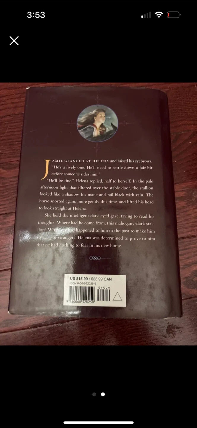 Rider in the Dark by Victoria Holmes image indicator(2)