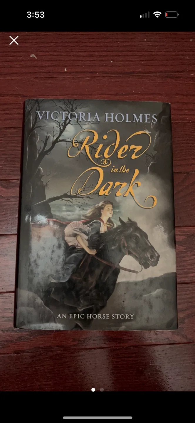 Rider in the Dark by Victoria Holmes thumbnail