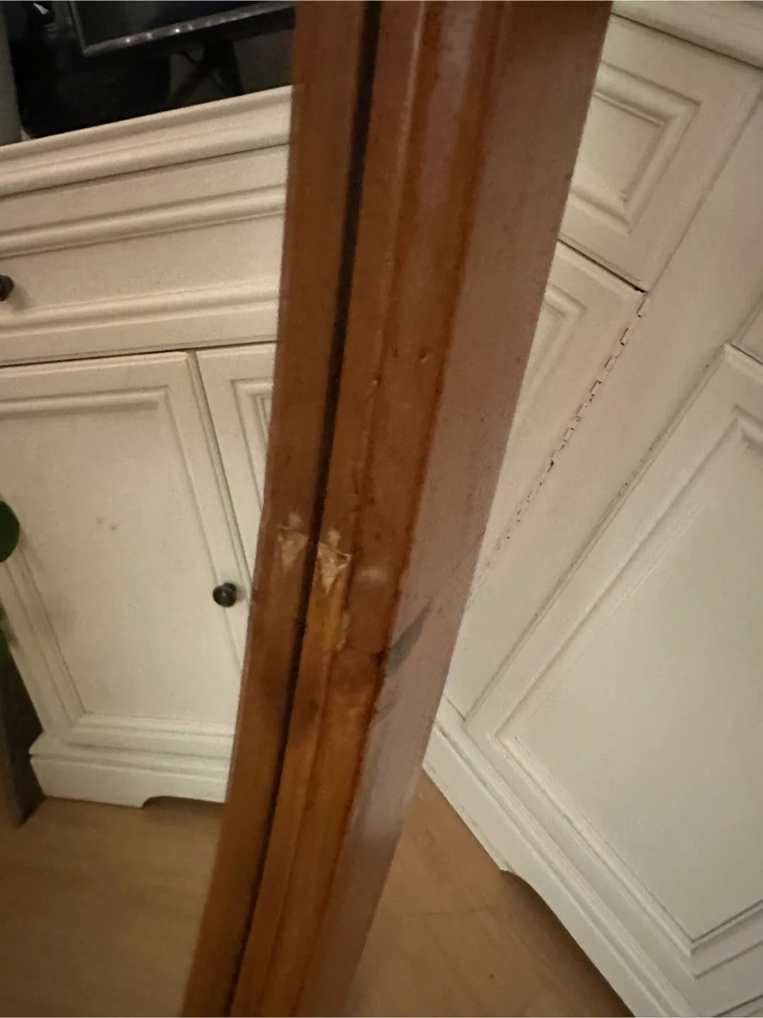 Aesthatic Wooden Framed Oval Floor Mirror image indicator(7)