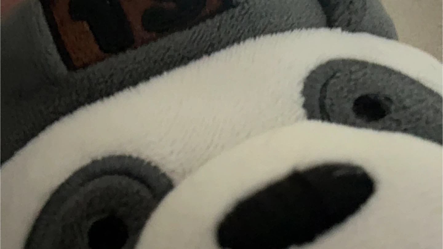 Sloth Plush Toy