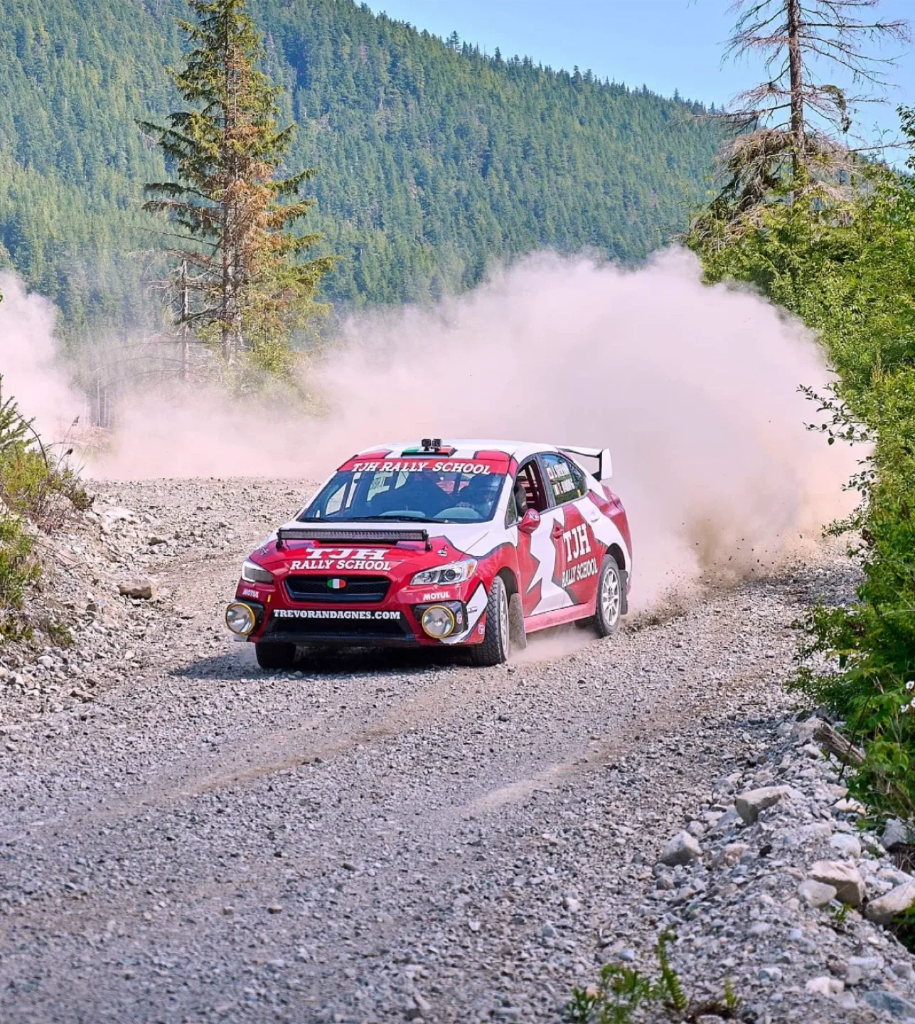 Subaru, Rally Car ready to race image indicator(4)