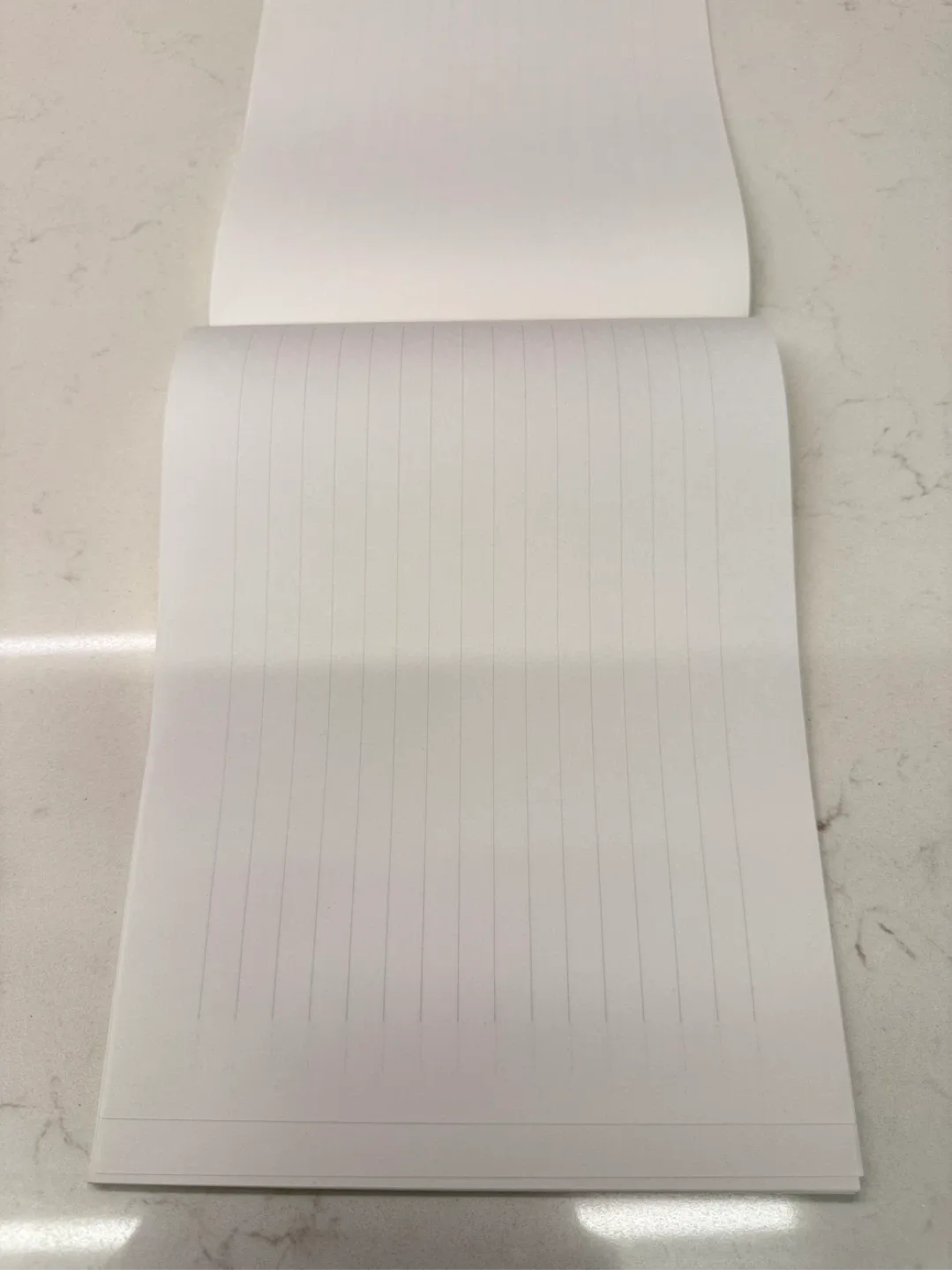 Vintage Japanese Calligraphy Practice Book image indicator(2)