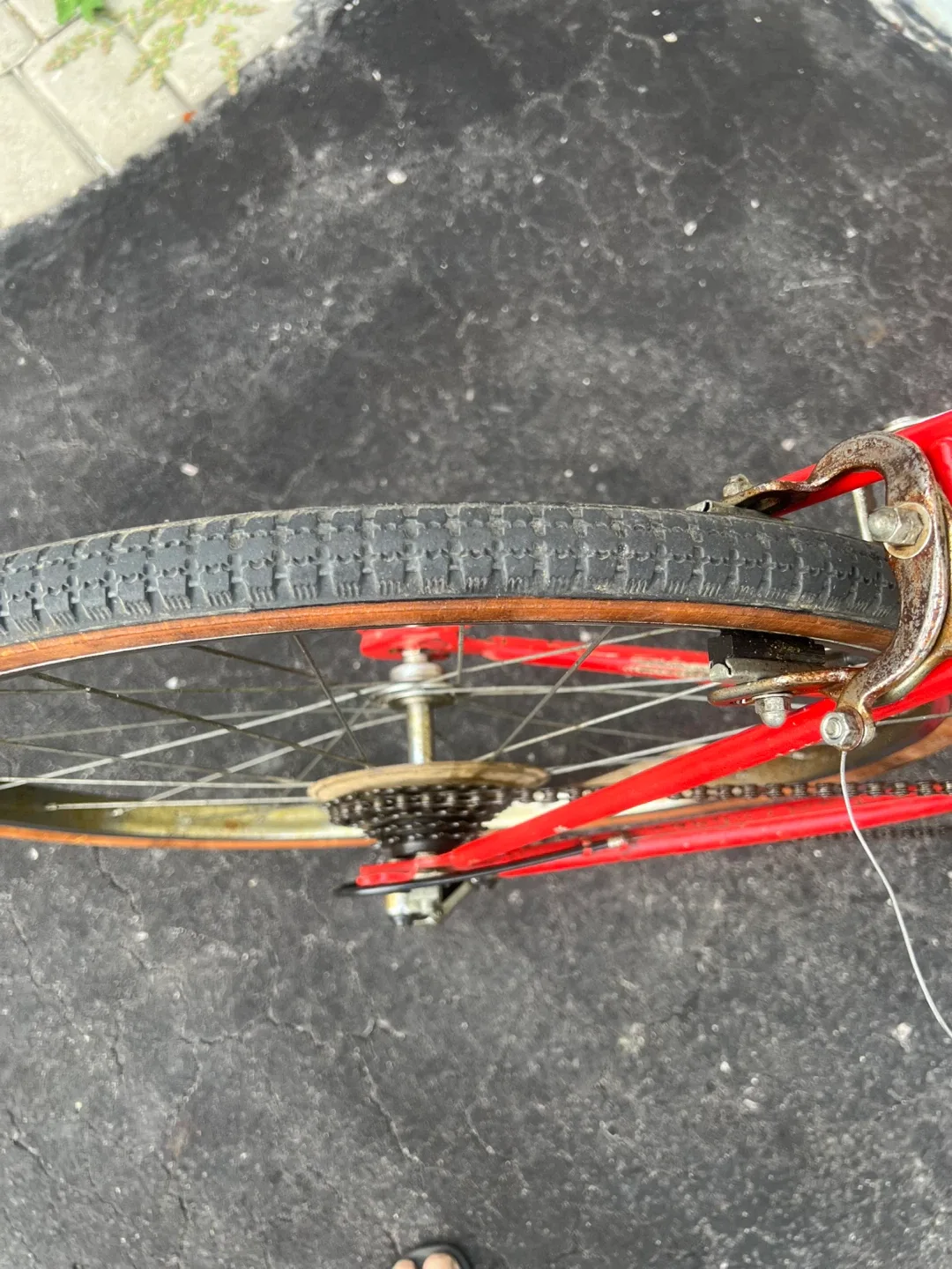 26 “ supercycle road speed bicycle image indicator(2)