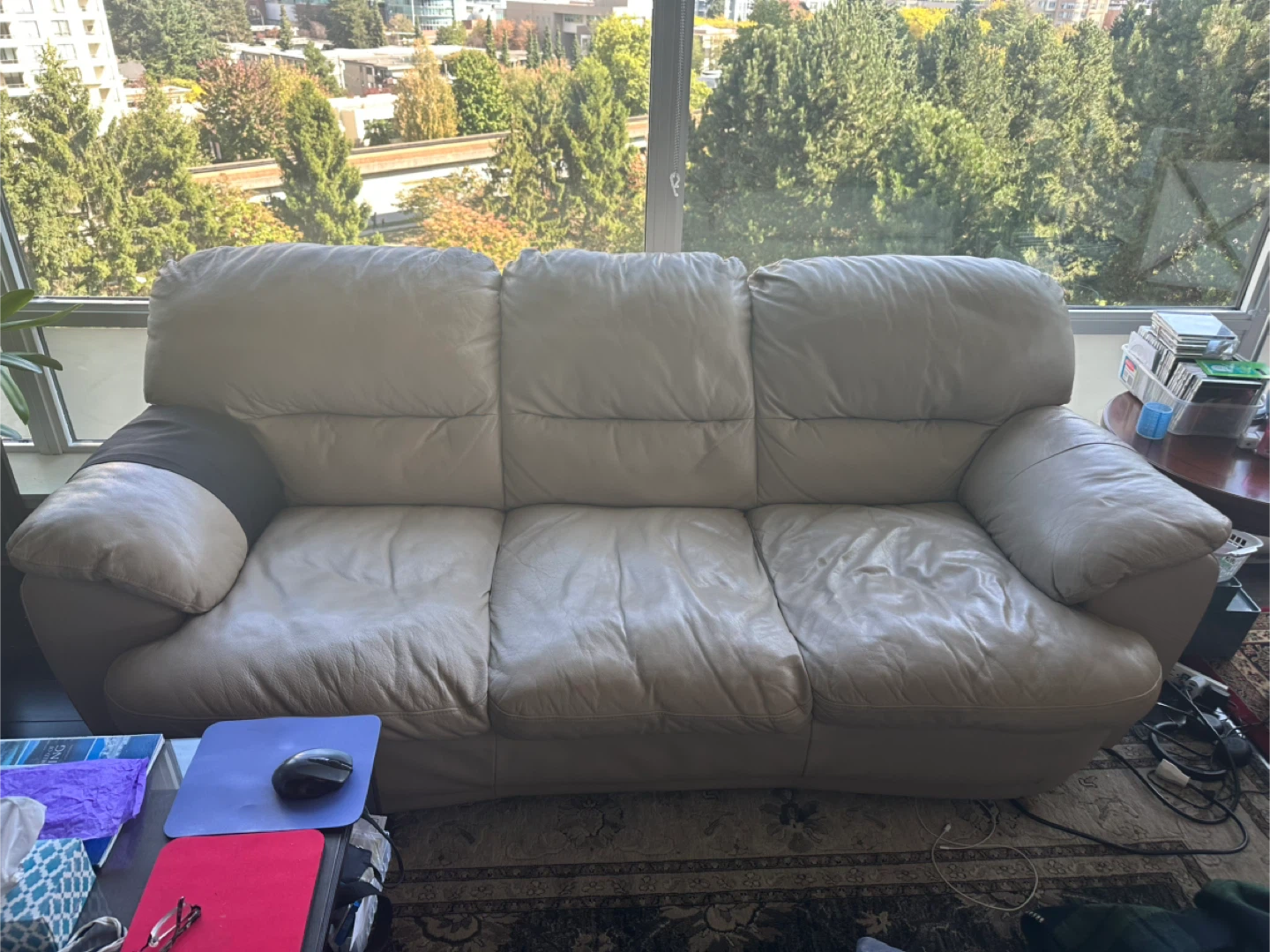 Leather Sofa - Light Beige