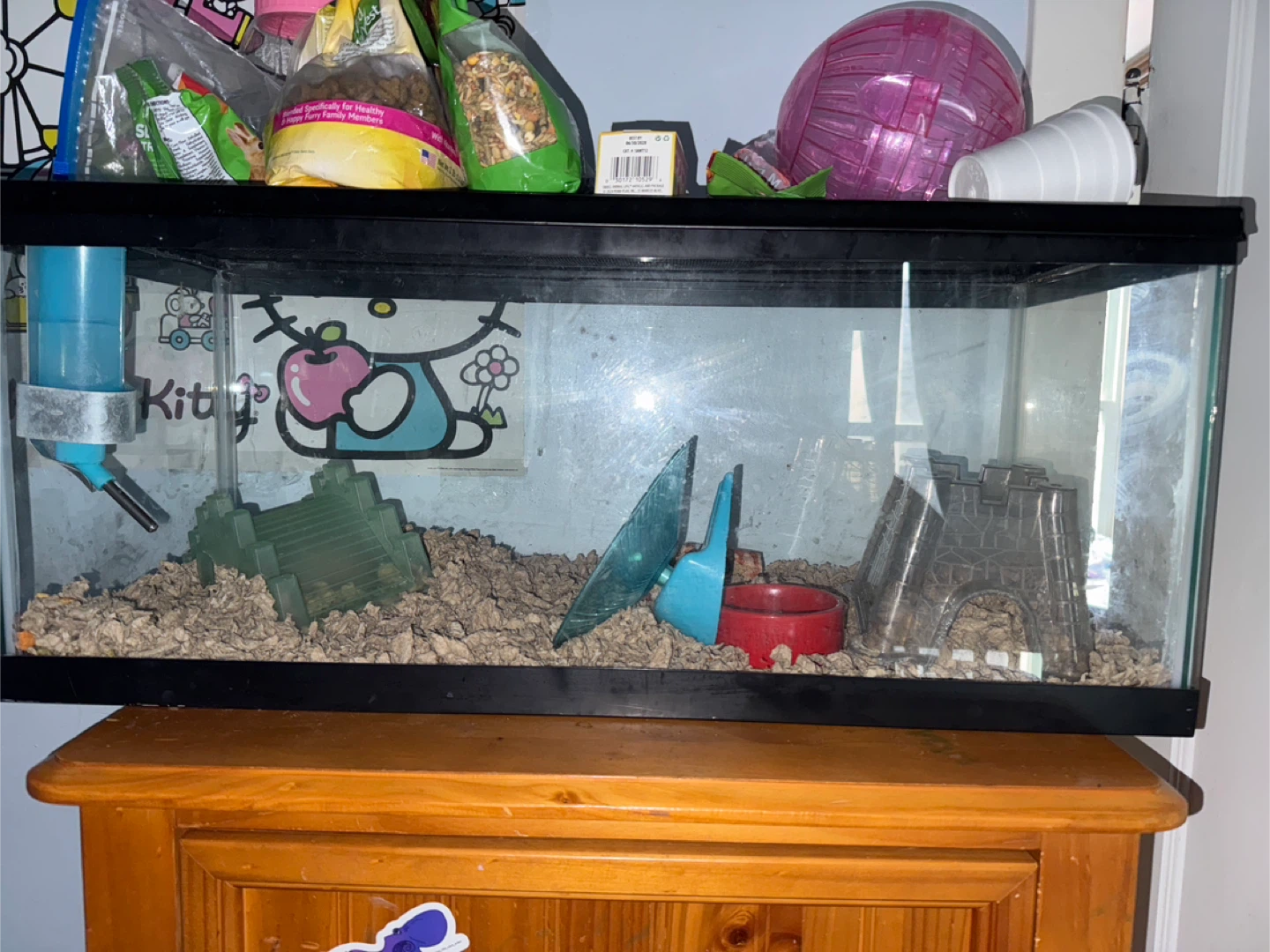 Free hamster with cage food - photo 2