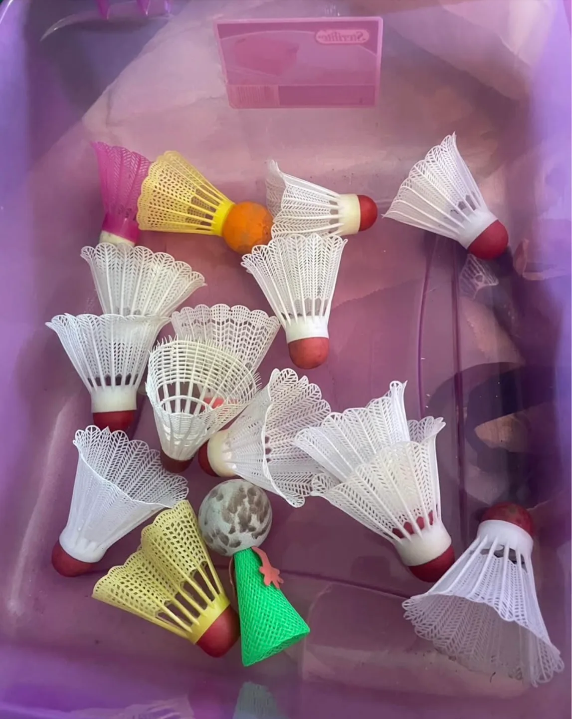 Badminton Rackets and Shuttlecocks image indicator(5)