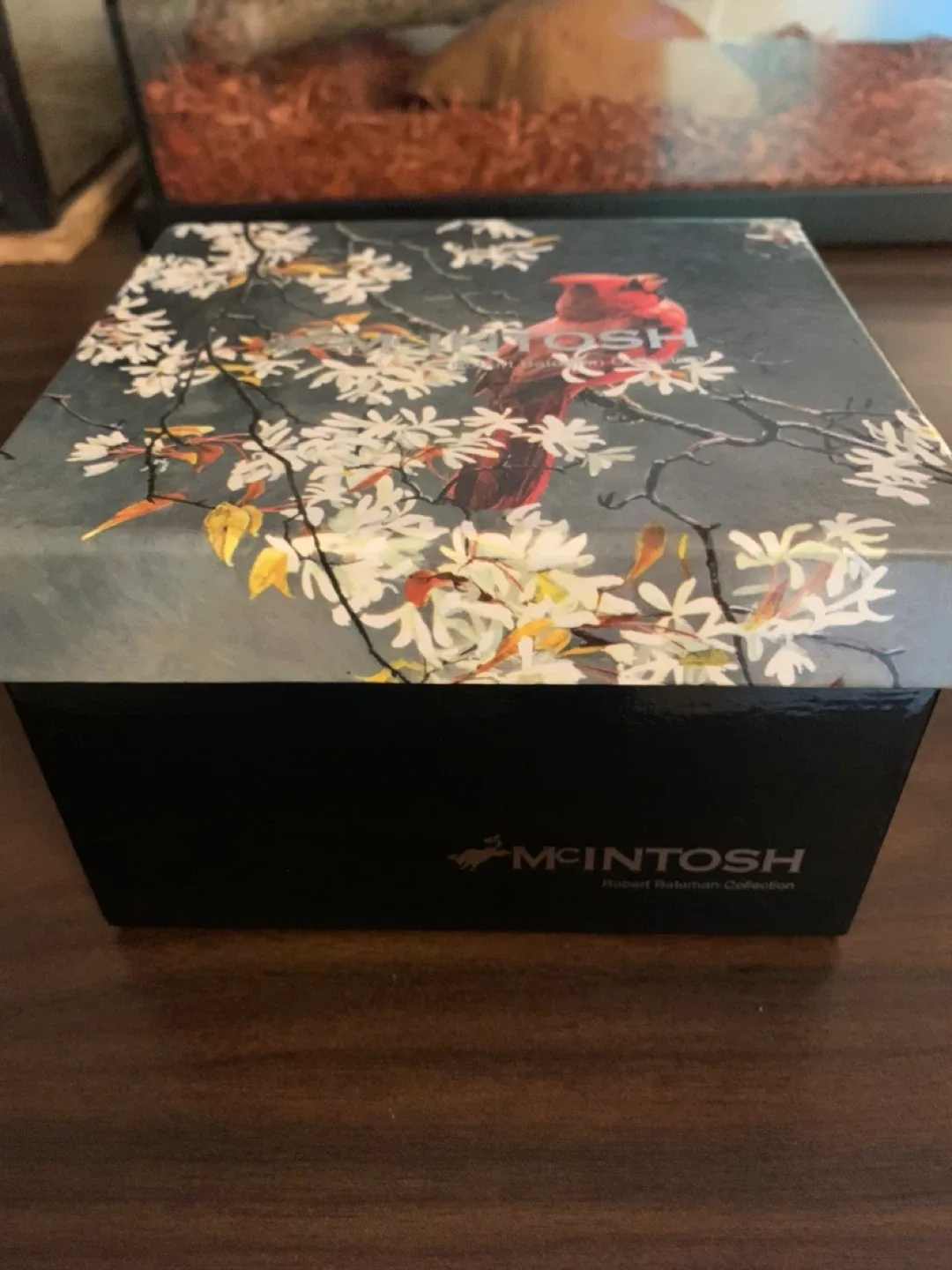 McIntosh Robert Bateman Cardinal Mug with Box image indicator(3)