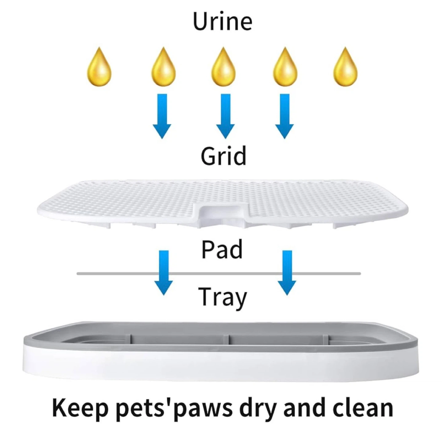 Dog Potty Training Tray / Pee Pad Holder - 23.2" x 17.9" - photo 5