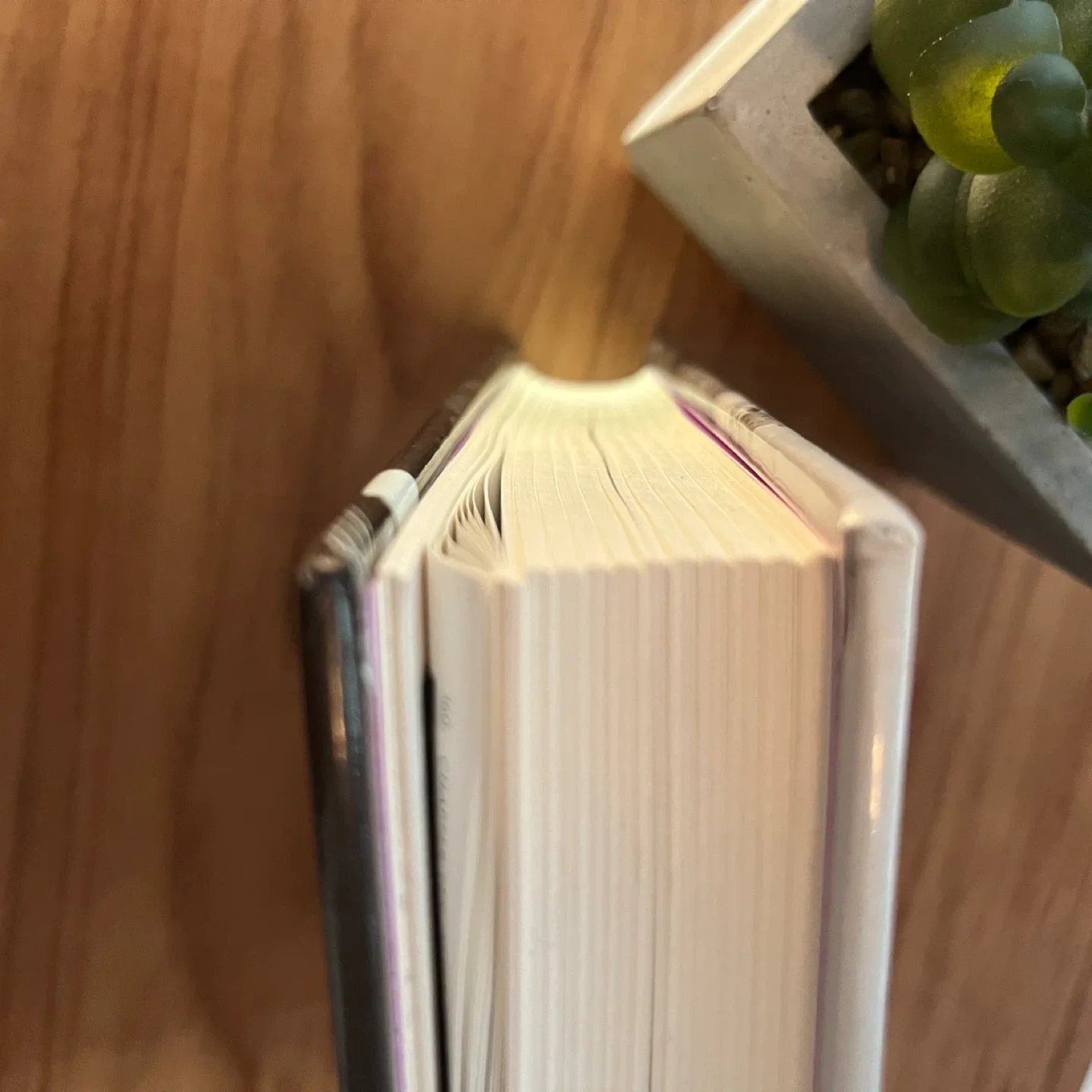 The Beatles Unseen Archives by Tim Hill and Mary Clayton image indicator(3)