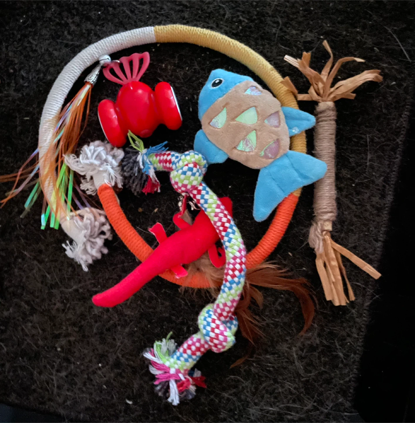 Free Assorted Cat Toys