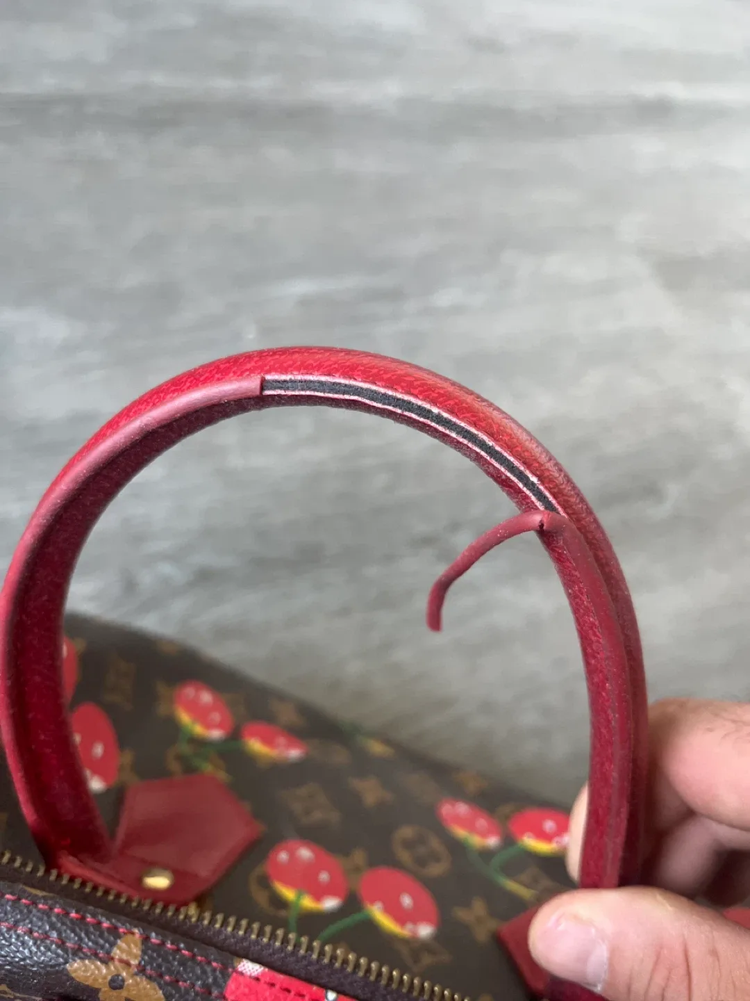 Louis Vuitton Speedy Cherry Monogram Bag (Replica) image indicator(2)