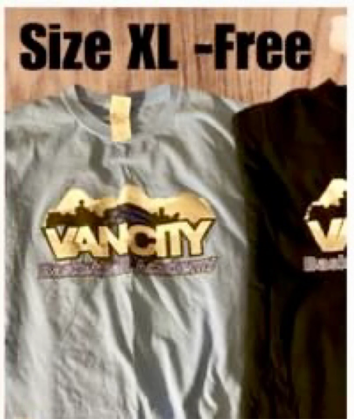 2 kids tee shirts