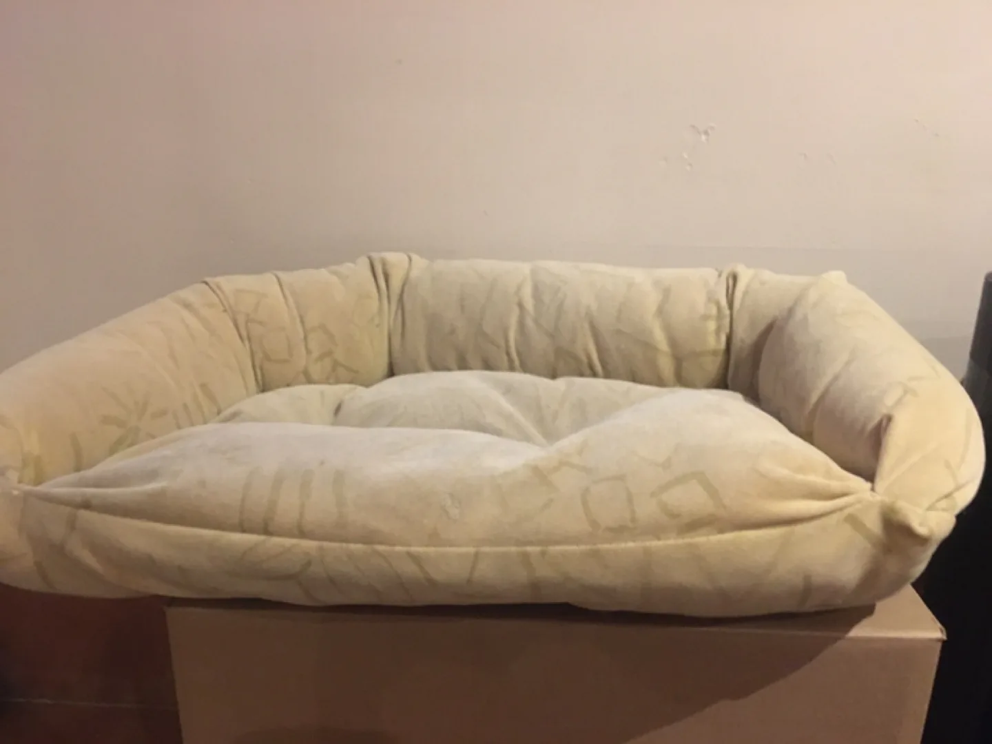 Beige Dog or Cat Bed thumbnail