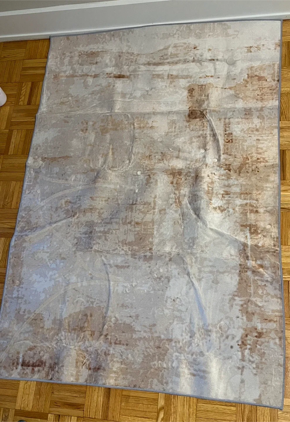 Area Rug image indicator(2)