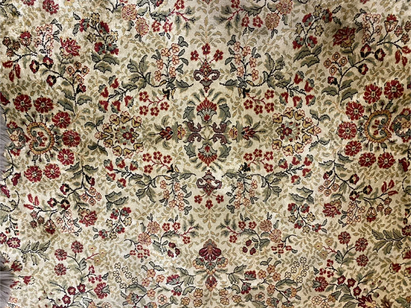 Floral Patterned Area Rug image indicator(2)