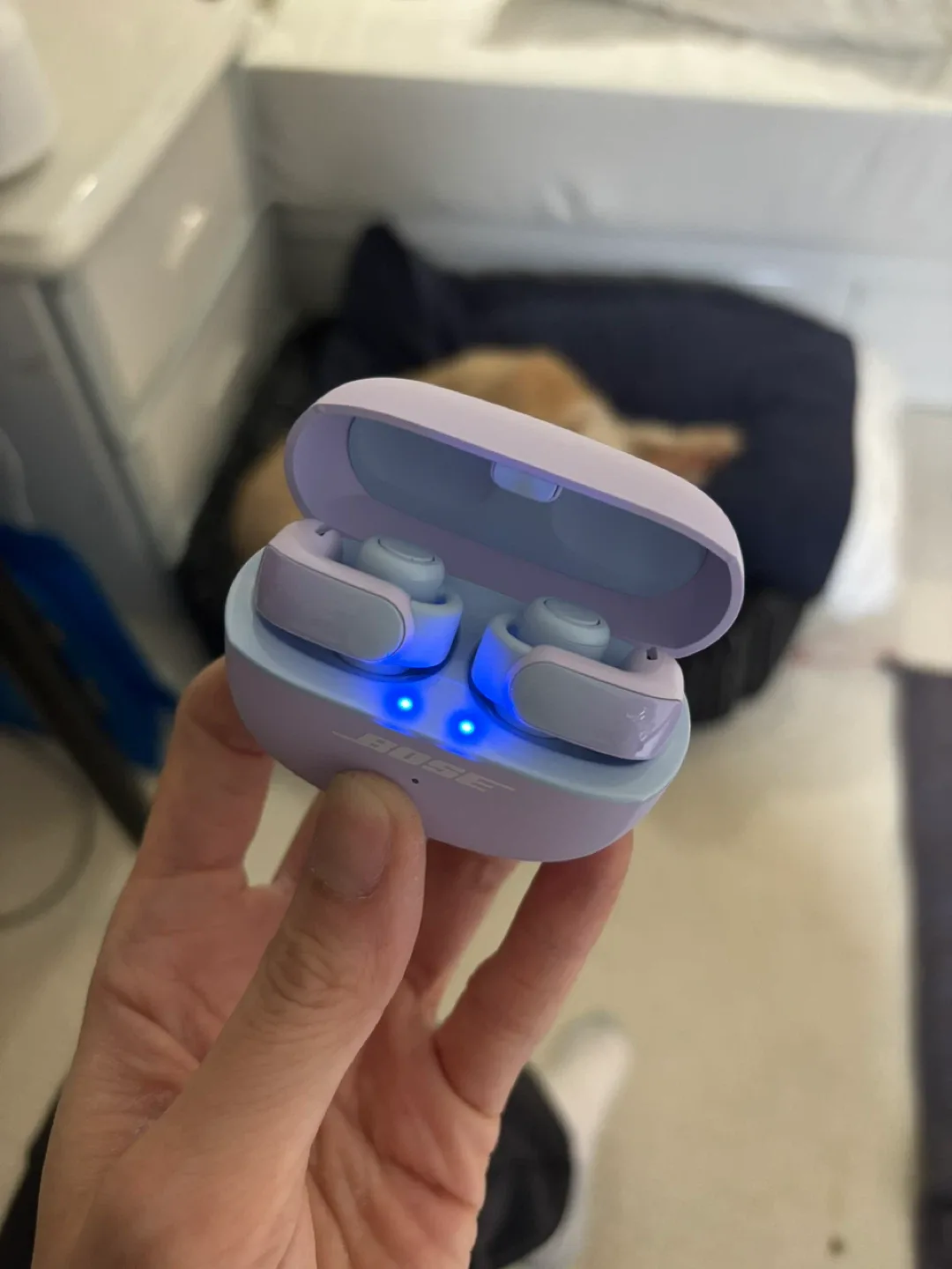 Bose QuietComfort Earbuds II - Lilac thumbnail