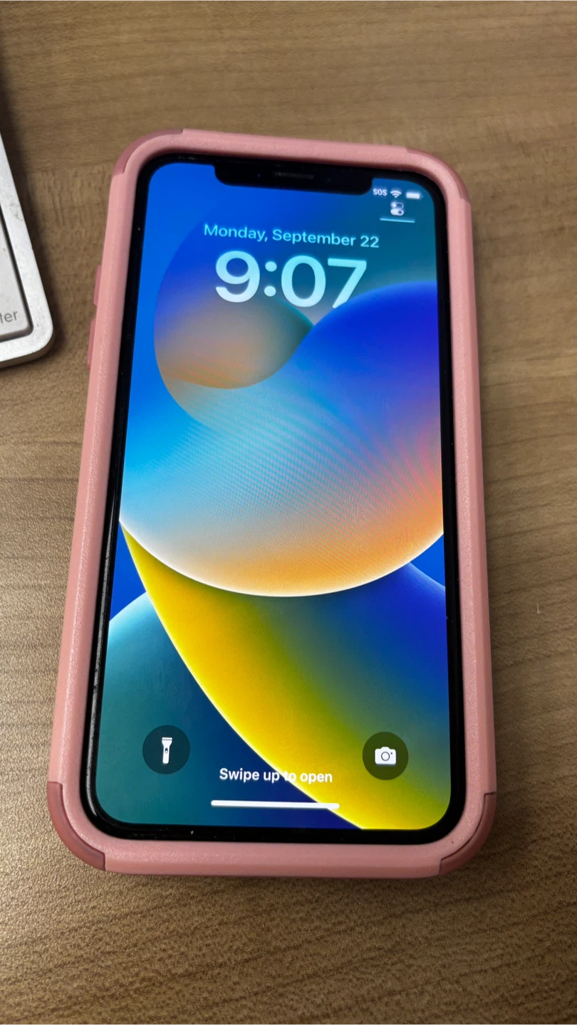 Apple iPhone X 256GB - Black in Pink Case