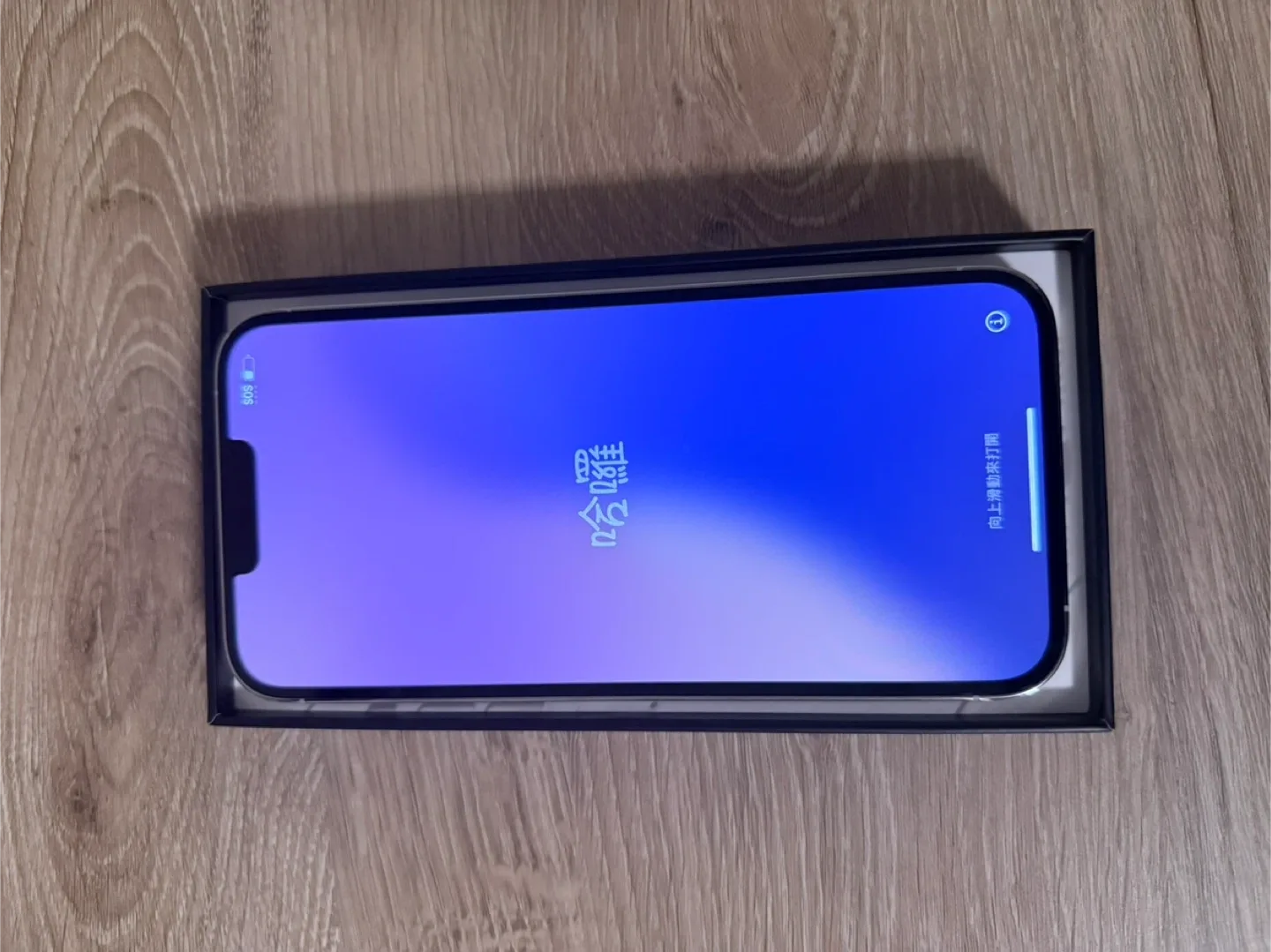 iPhone 13 Pro Max Silver in Box + Casetify phone case image indicator(2)