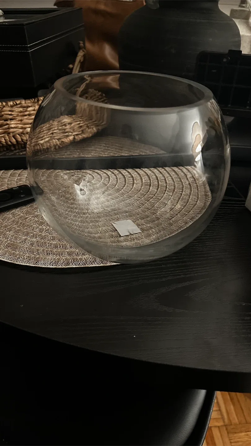 Glass Fishbowl Vase