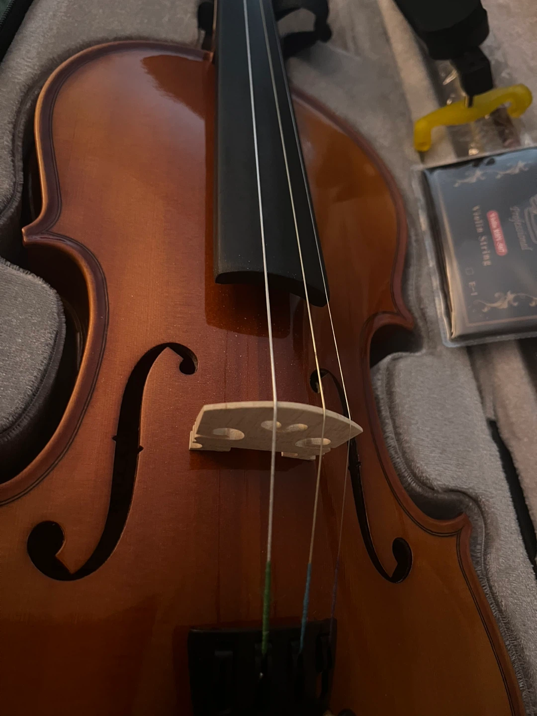 4/4 Violin comes with everything