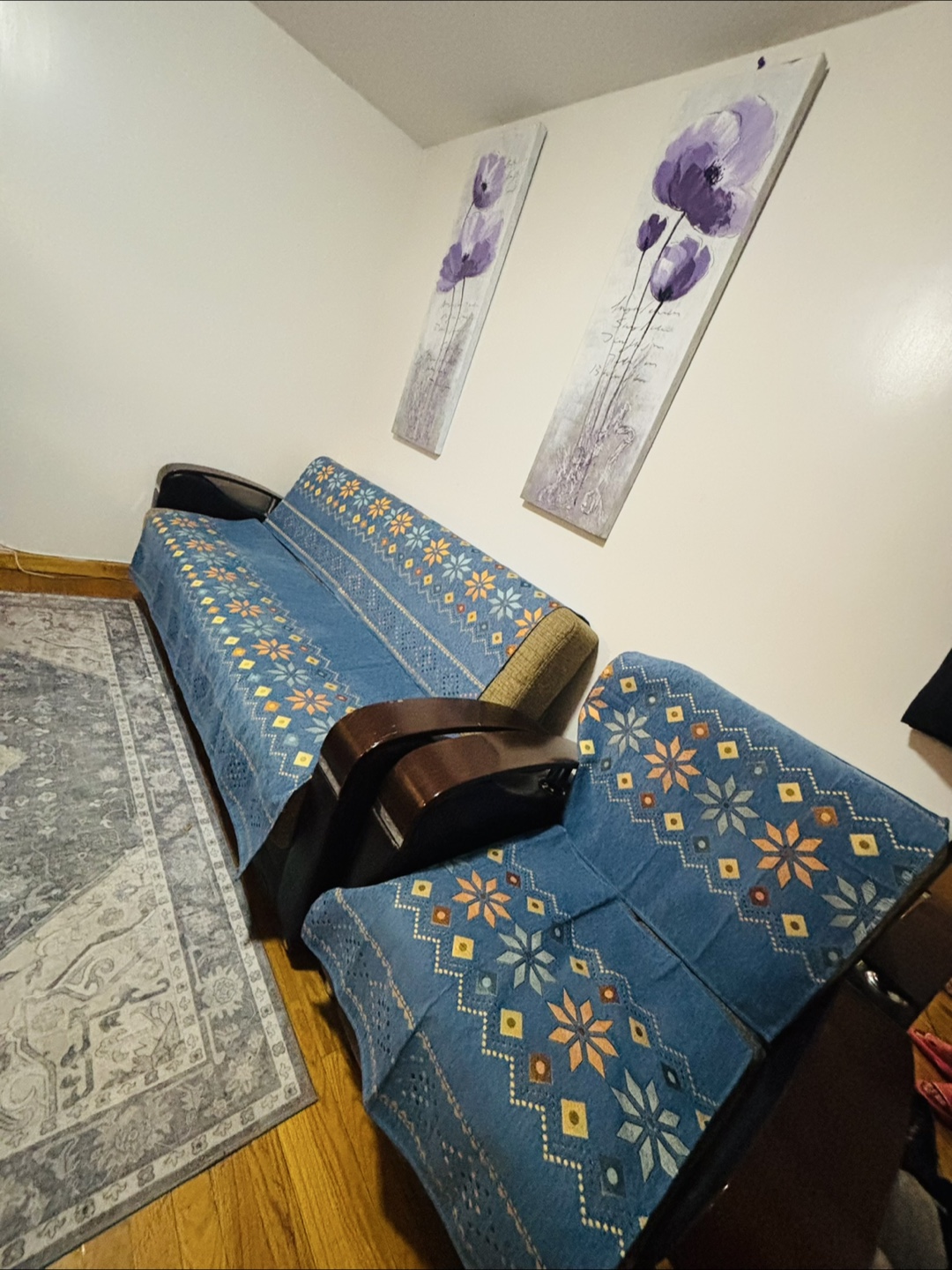 Free  folding Sofa Bed & Armchair Set