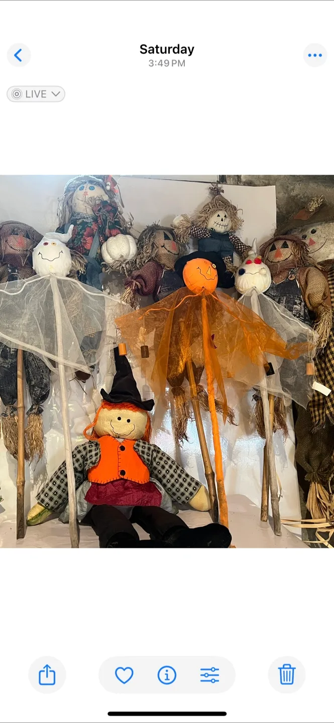 Halloween Scarecrow Decorations image indicator(3)