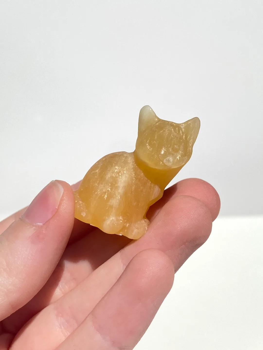 Crystal Cat image indicator(3)