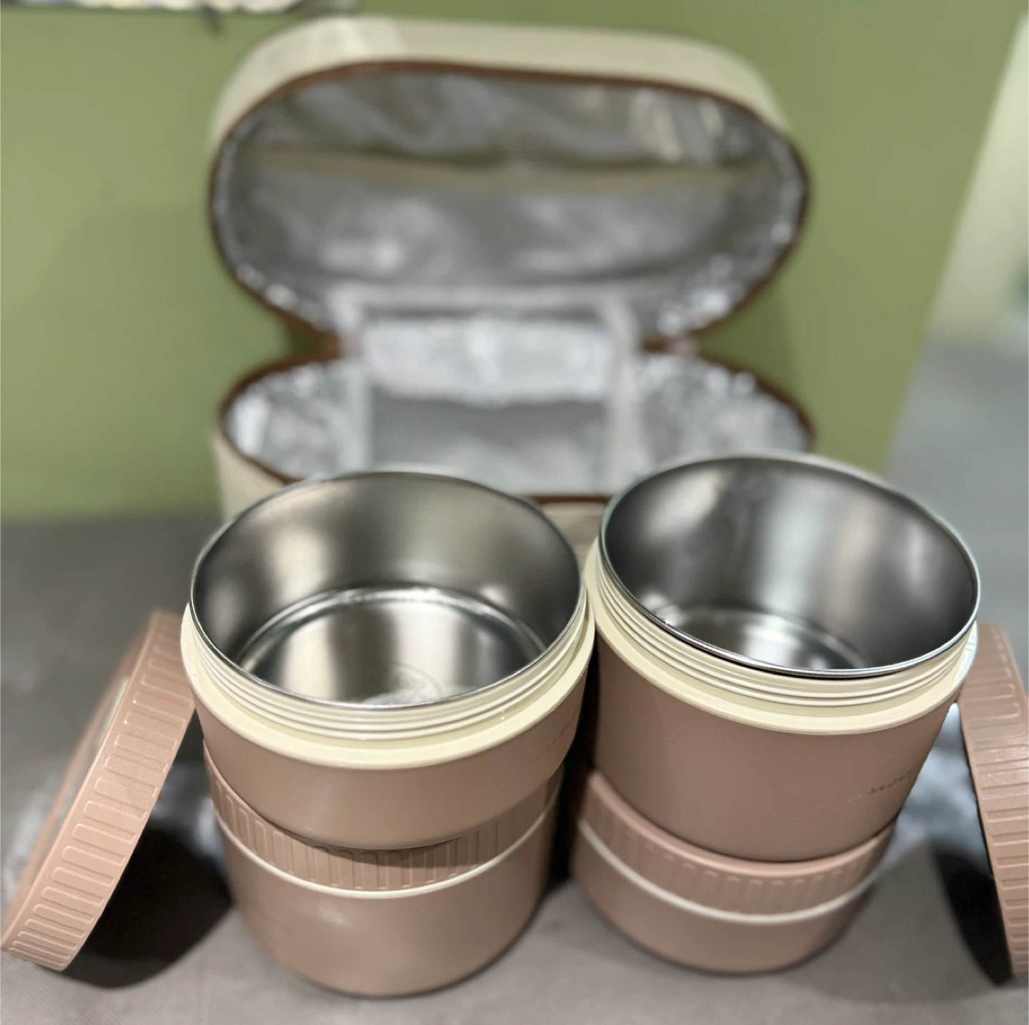 Luxurious Lunch Box Set with Carrying Case