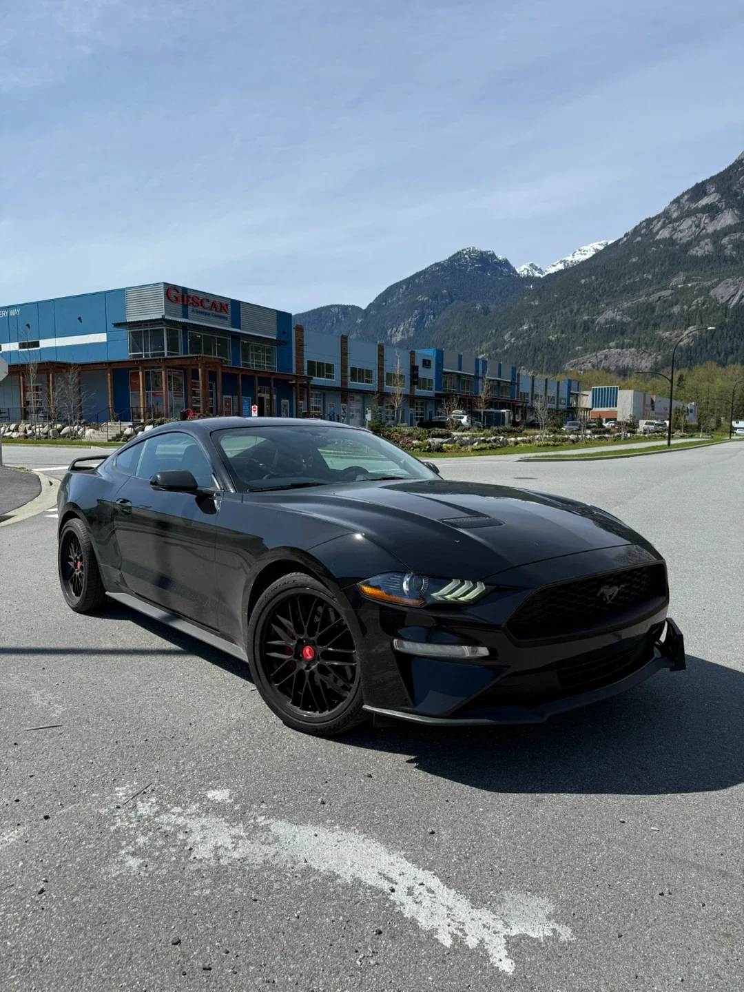Beloved 2019 Ford Mustang Ecoboost PP - premium performance image indicator(5)