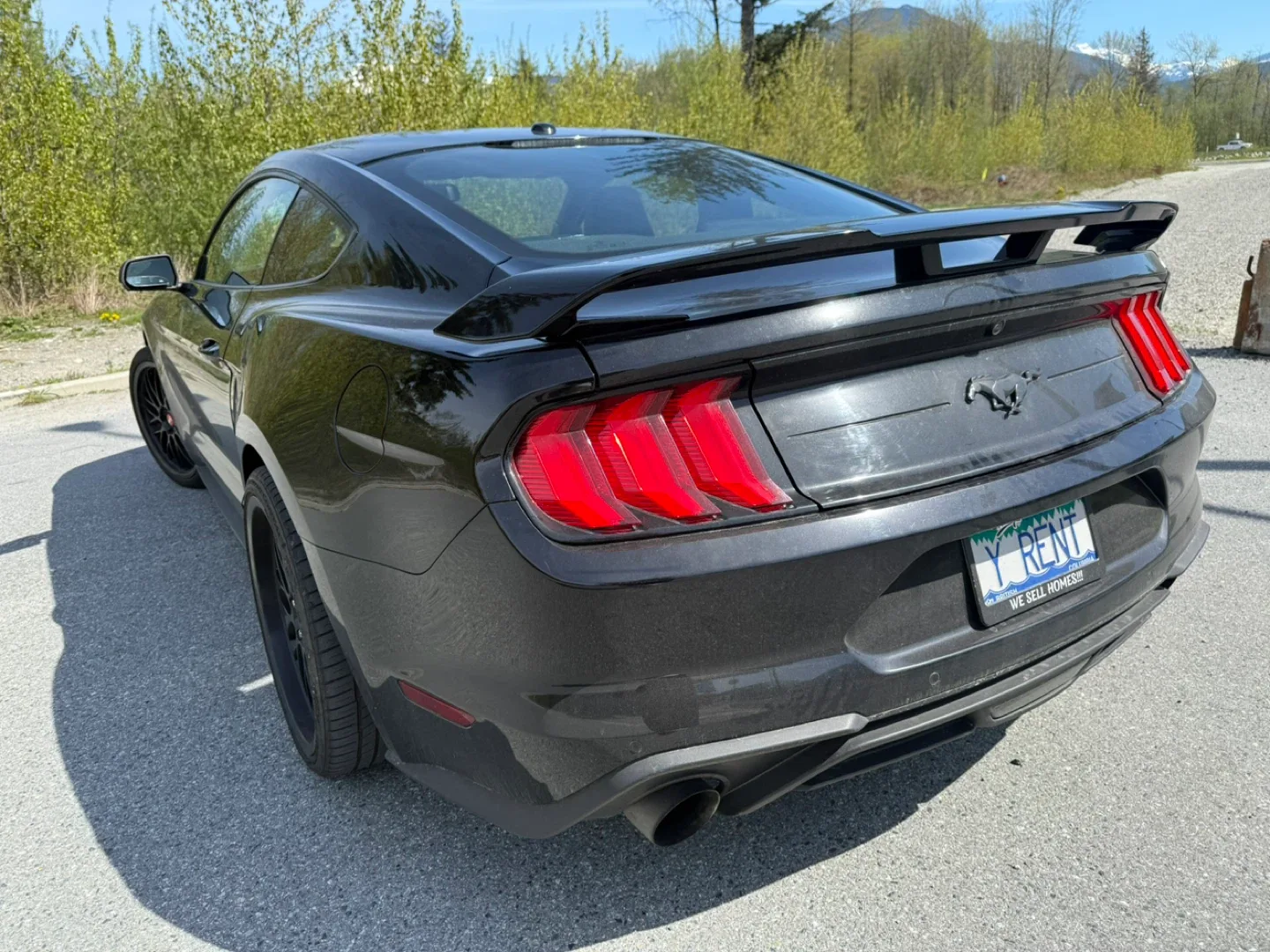 Beloved 2019 Ford Mustang Ecoboost PP - premium performance image indicator(3)