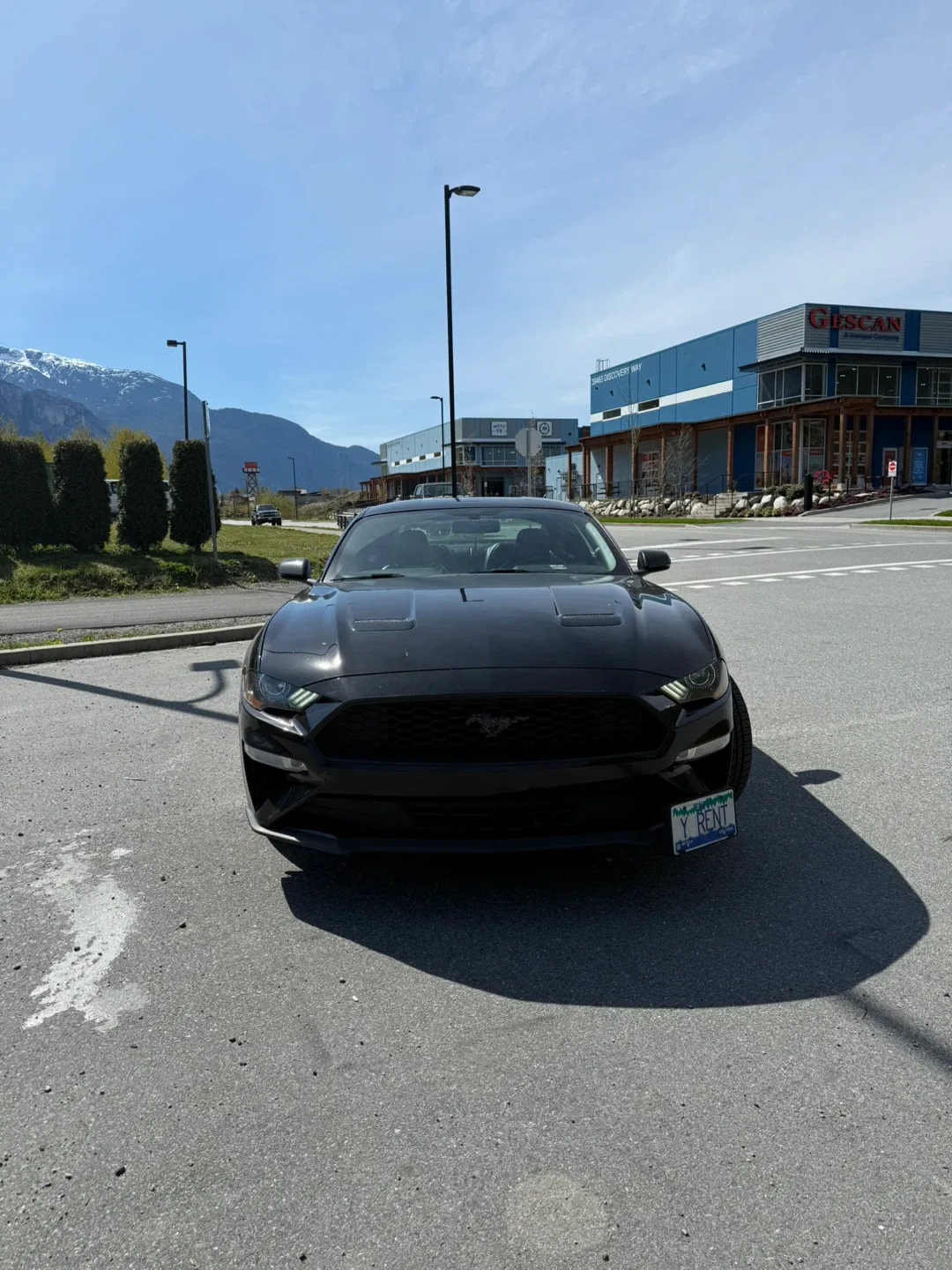 Beloved 2019 Ford Mustang Ecoboost PP - premium performance image indicator(6)