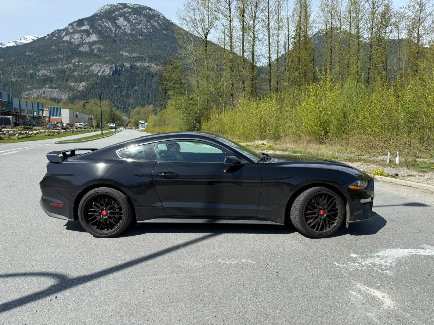 Beloved 2019 Ford Mustang Ecoboost PP - premium performance image indicator(4)