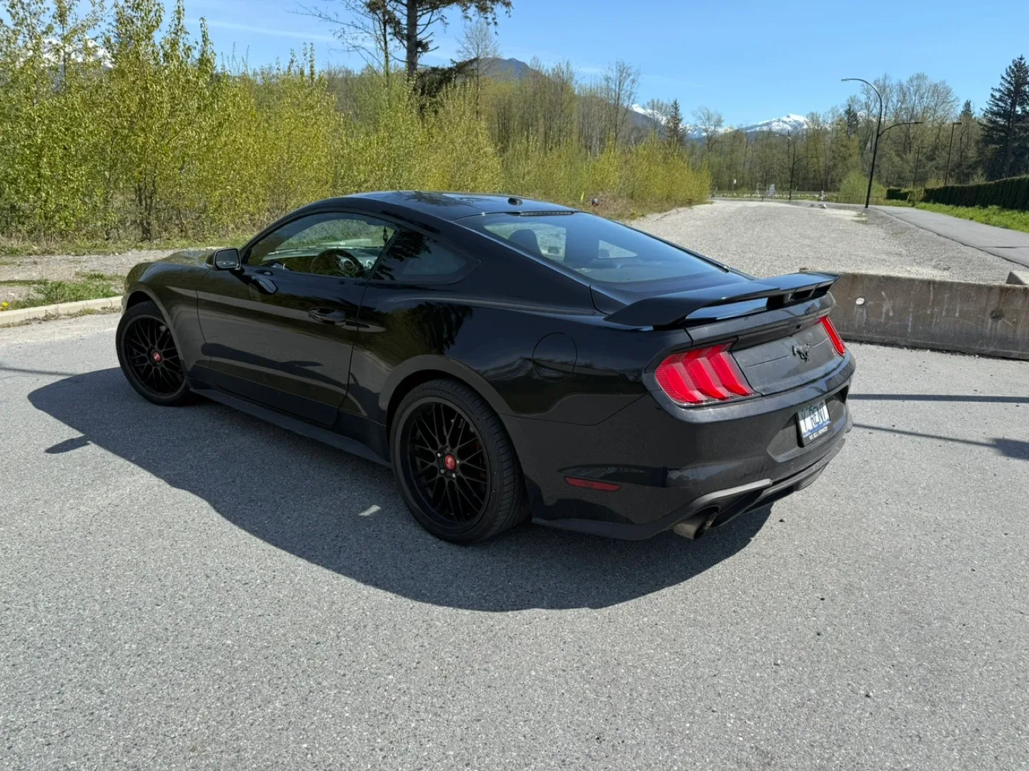 Beloved 2019 Ford Mustang Ecoboost PP - premium performance image indicator(7)