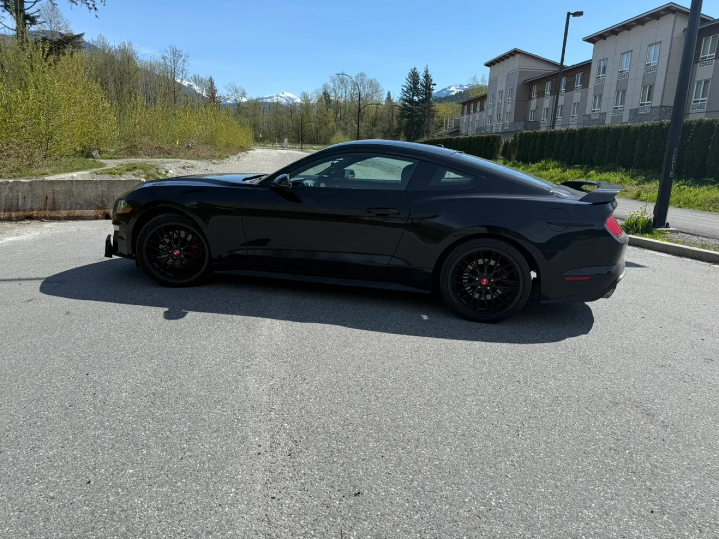 Beloved 2019 Ford Mustang Ecoboost PP - premium performance image indicator(8)